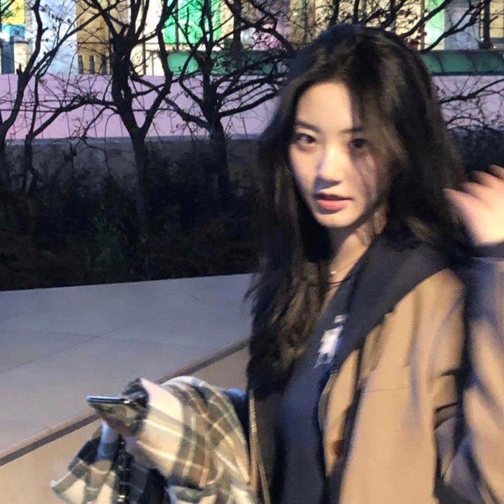 玫瑰骑士
