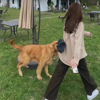 真不走运